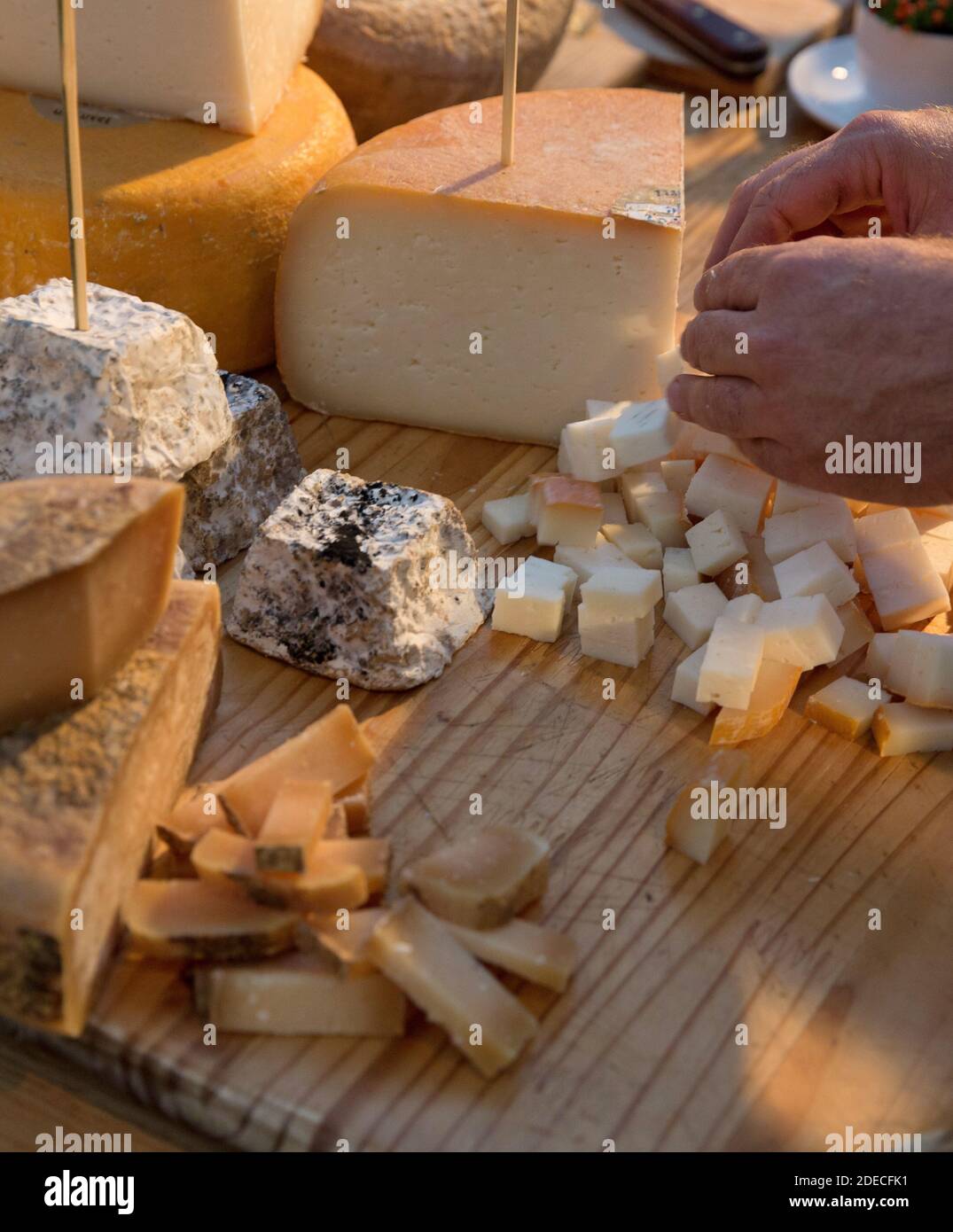 Assortimento di formaggi prodotti caseari di capra, pecora e vacca Foto Stock