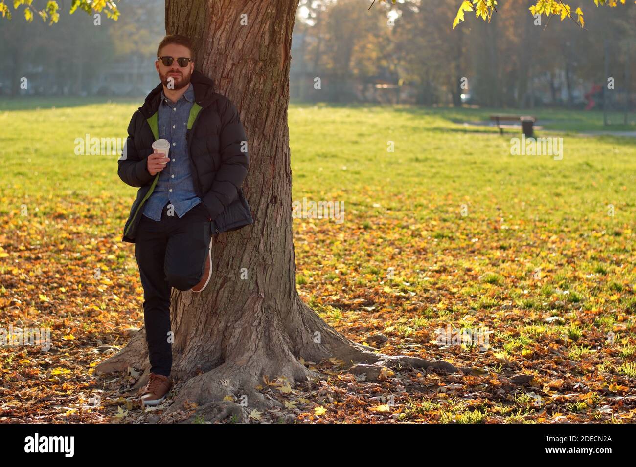Ritratto di bel giovane nel parco - scenario autunnale Foto Stock