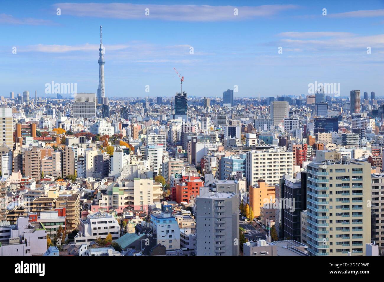 TOKYO, GIAPPONE - 29 NOVEMBRE 2016: Veduta aerea di Bunkyo Ward a Tokyo. Tokyo è la capitale del Giappone. 37.8 milioni di persone vivono nella sua area metropolitana. Foto Stock