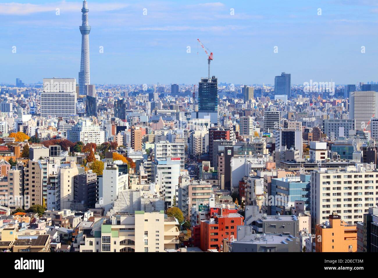 TOKYO, GIAPPONE - 29 NOVEMBRE 2016: Veduta aerea di Bunkyo Ward a Tokyo. Tokyo è la capitale del Giappone. 37.8 milioni di persone vivono nella sua area metropolitana. Foto Stock