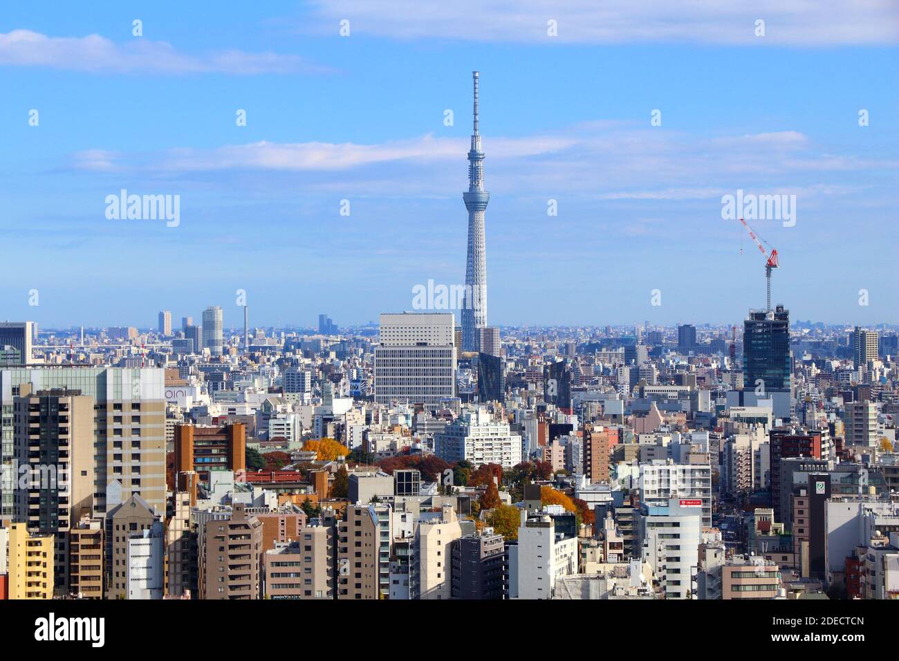 TOKYO, GIAPPONE - 29 NOVEMBRE 2016: Veduta aerea di Bunkyo Ward a Tokyo. Tokyo è la capitale del Giappone. 37.8 milioni di persone vivono nella sua area metropolitana. Foto Stock