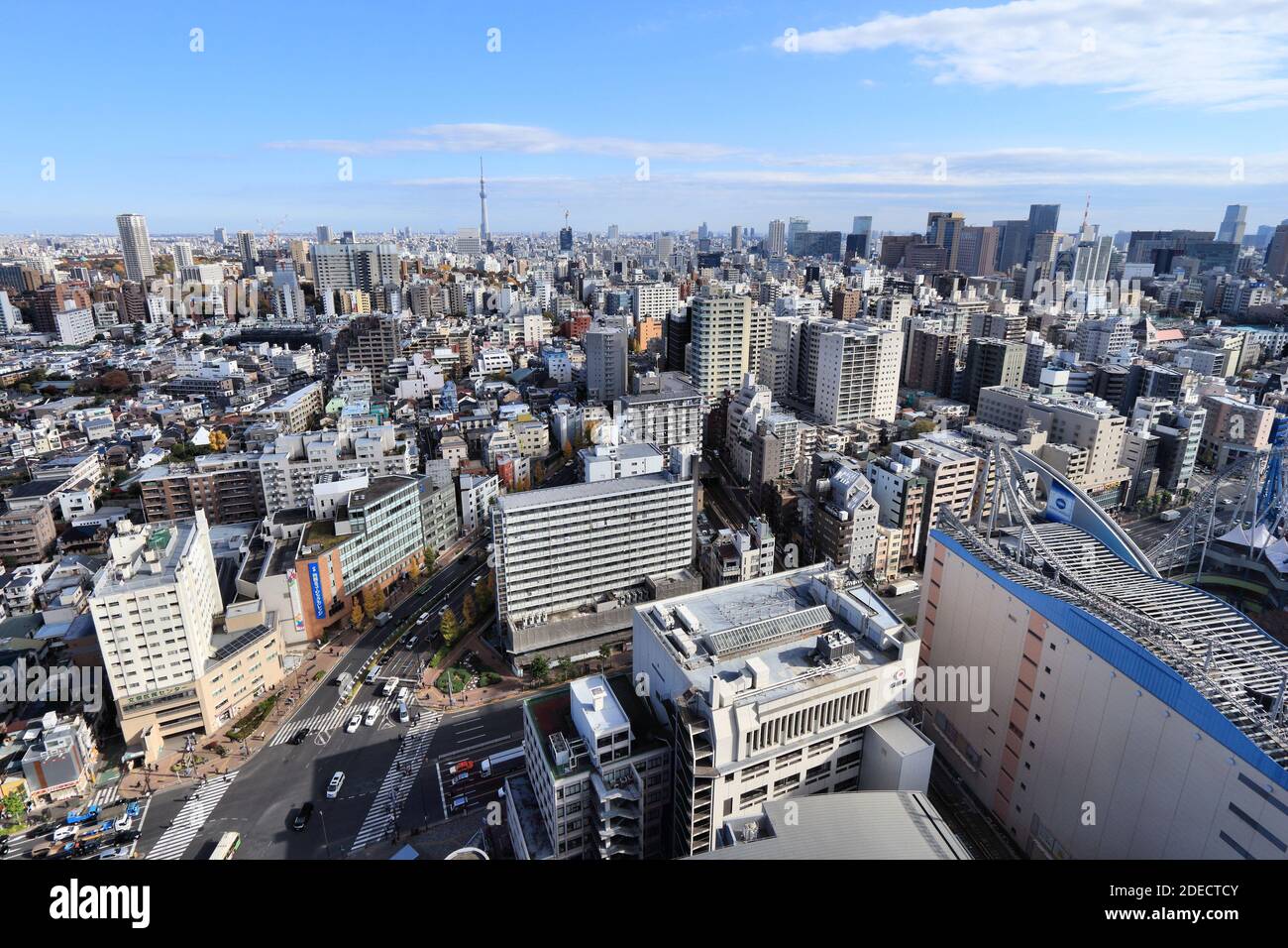 TOKYO, GIAPPONE - 29 NOVEMBRE 2016: Veduta aerea di Bunkyo Ward a Tokyo. Tokyo è la capitale del Giappone. 37.8 milioni di persone vivono nella sua area metropolitana. Foto Stock
