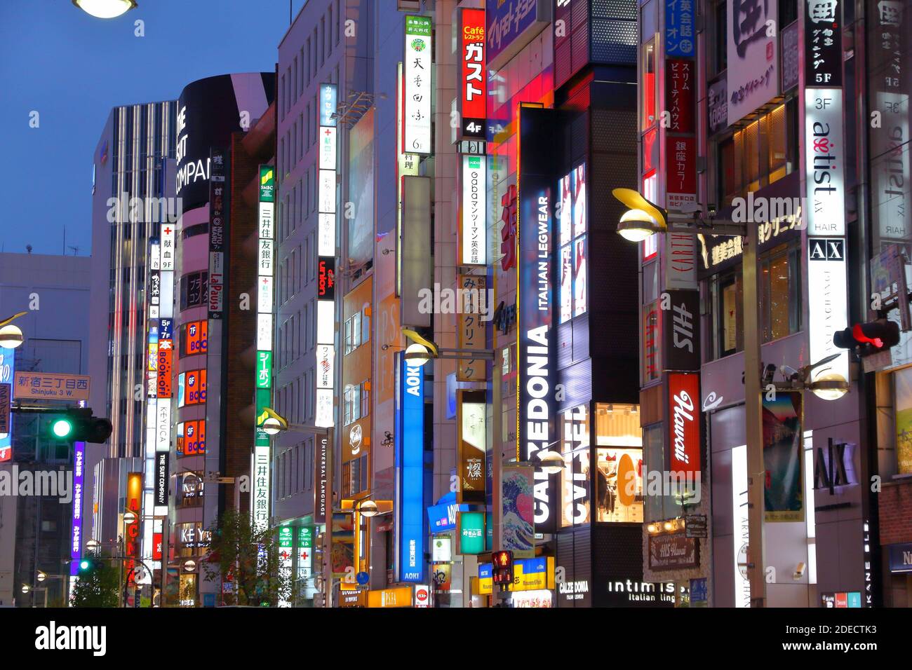 TOKYO, Giappone - 30 novembre 2016: le luci al neon del quartiere Shinjuku di Tokyo, Giappone. Tokyo è la capitale del Giappone. 37,8 milioni di persone che vivono in esso Foto Stock