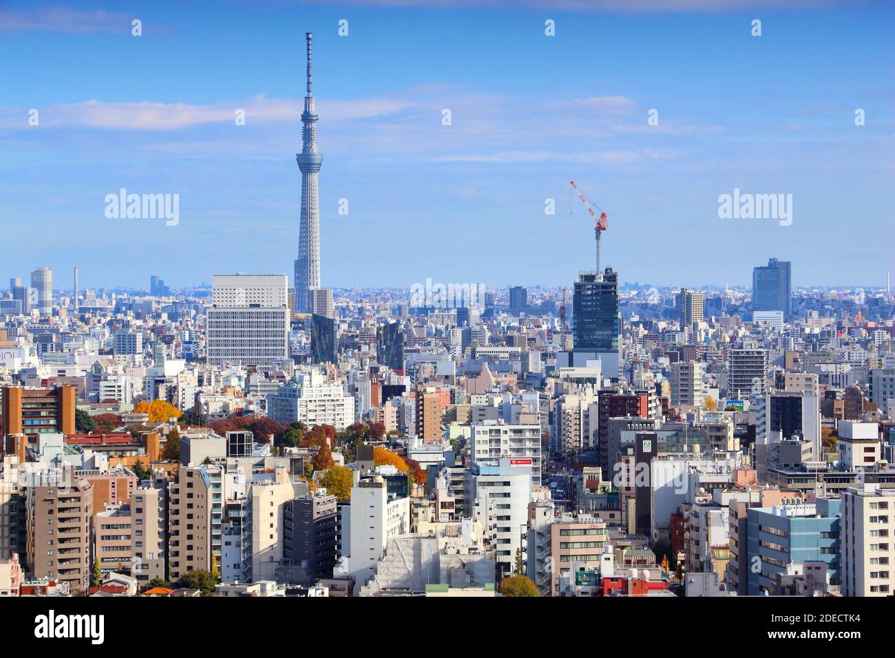 TOKYO, GIAPPONE - 29 NOVEMBRE 2016: Veduta aerea di Bunkyo Ward a Tokyo. Tokyo è la capitale del Giappone. 37.8 milioni di persone vivono nella sua area metropolitana. Foto Stock