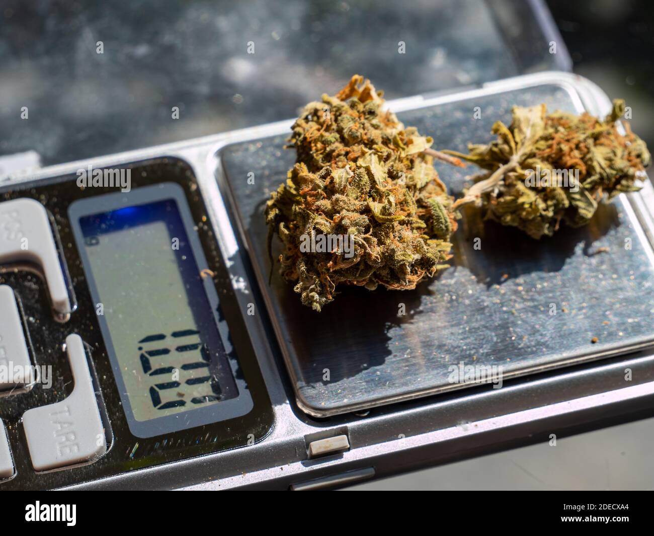 Scale con il traffico di droga di marijuana di cannabis Foto Stock