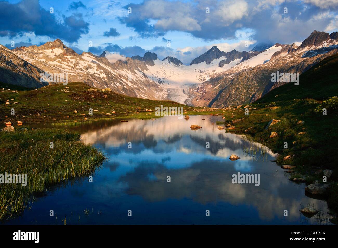 Geografia / viaggio, Svizzera, Alpi svizzere in estate, Oberaargletscher (ghiacciaio dell'Aar superiore), Obera, diritti aggiuntivi-clearance-Info-non-disponibile Foto Stock