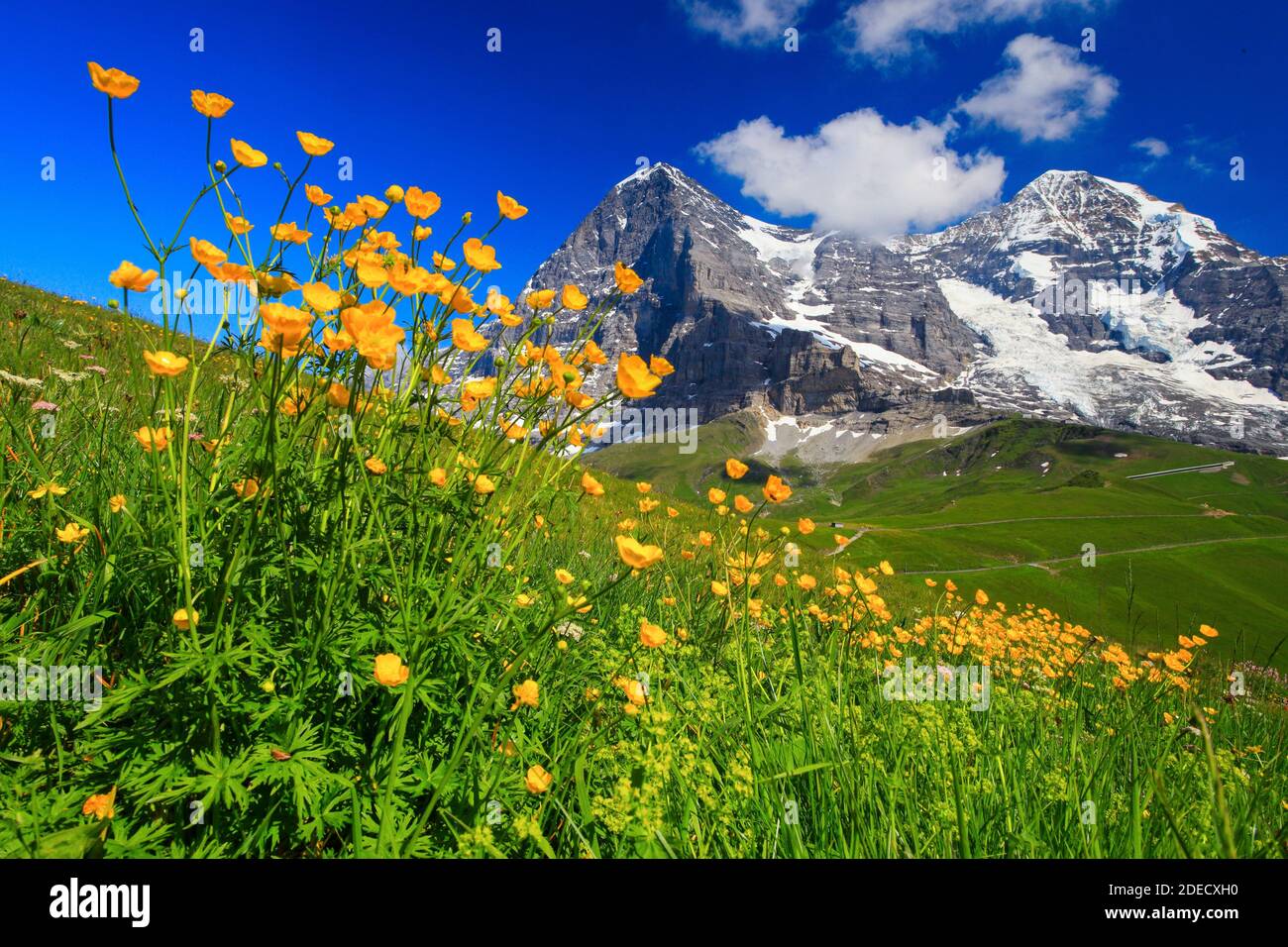 Geografia / viaggio, Svizzera, Eiger e Moench con piede di corona, Oberland Bernese, diritti aggiuntivi-liquidazione-Info-non-disponibile Foto Stock