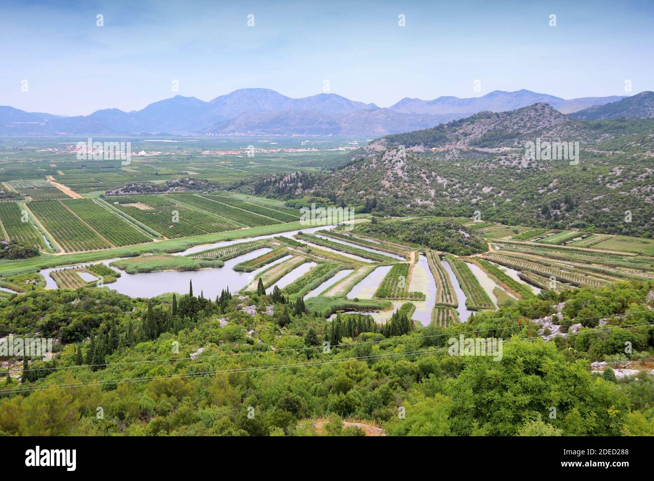Agricoltura in Croazia. Neretva Delta paesaggio agricolo, Croazia. Frutteti e canali di irrigazione. Foto Stock