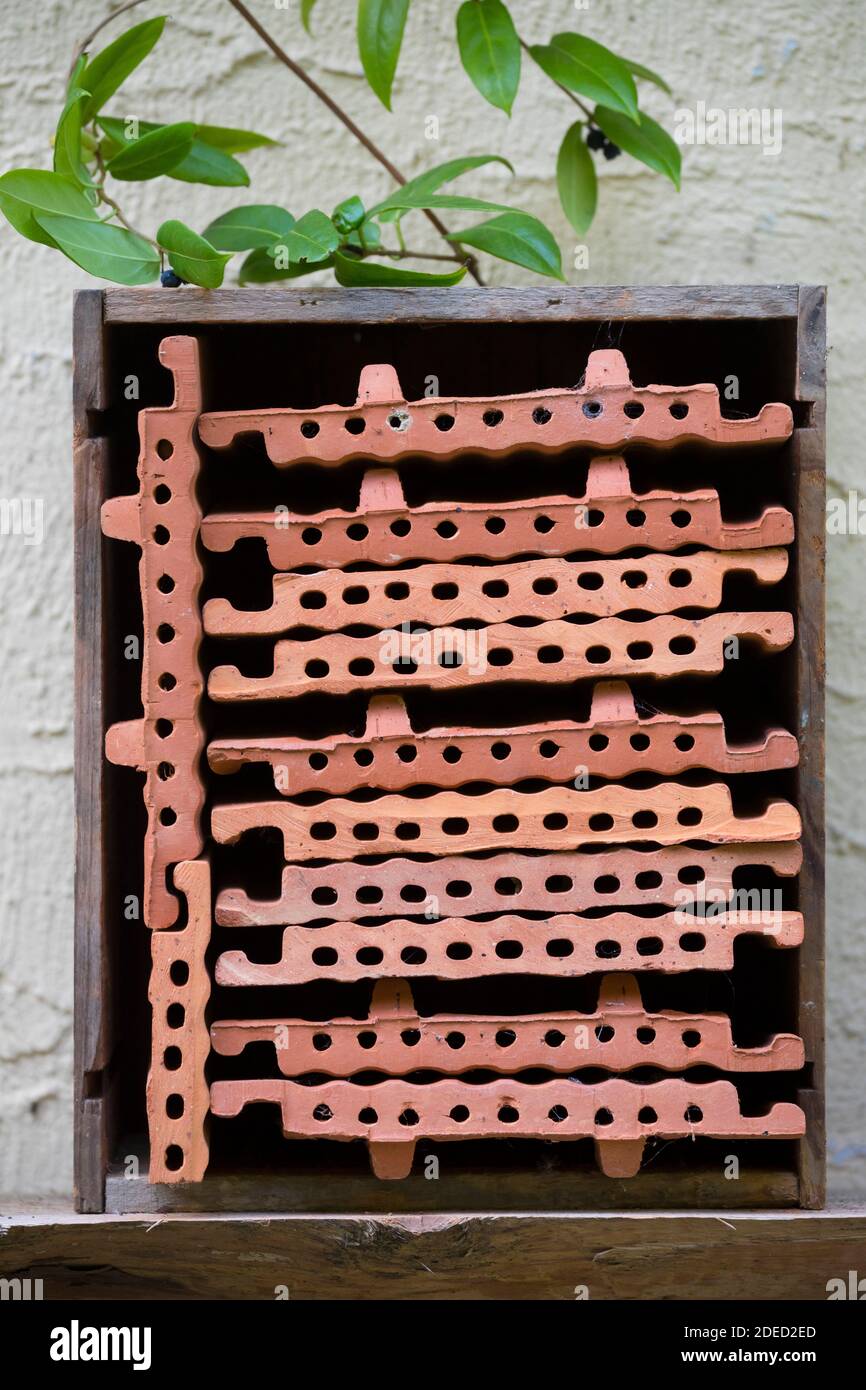 Le tegole del tetto interbloccanti estruse in una scatola come aiuto di nidificazione dell'ape selvatica, Germania Foto Stock