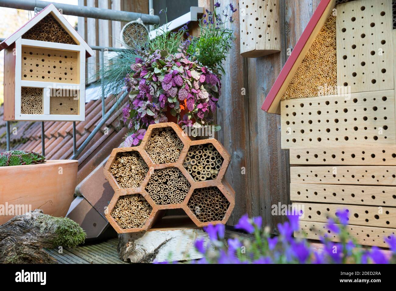 Ausili di nidificazione delle api selvatiche su un balcone, legno duro con vari fori di perforazione, Germania Foto Stock