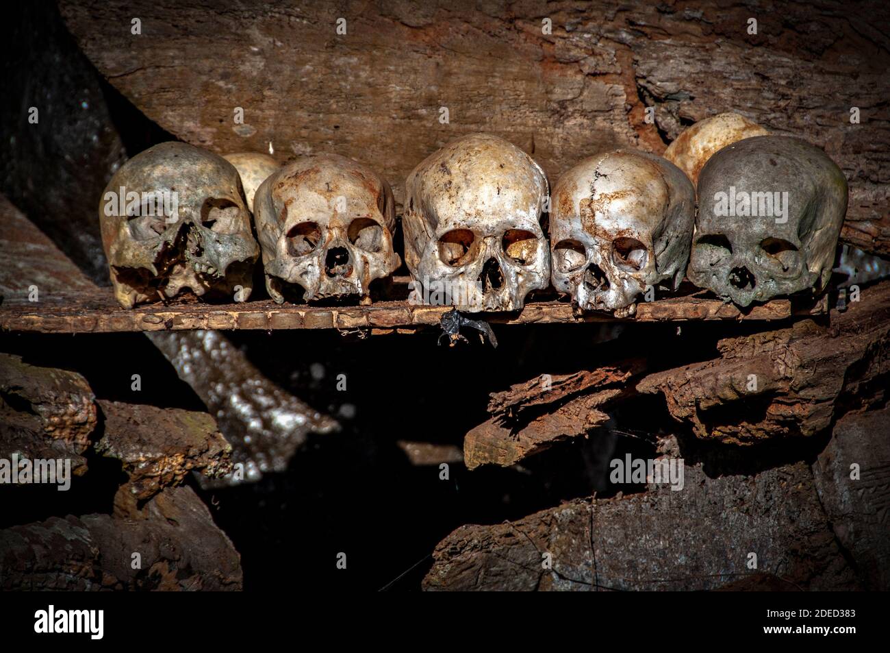Teschi e bare antenati, cimitero tradizionale, Londa, Tana Toraja, Sulawesi del Sud, Indonesia Foto Stock