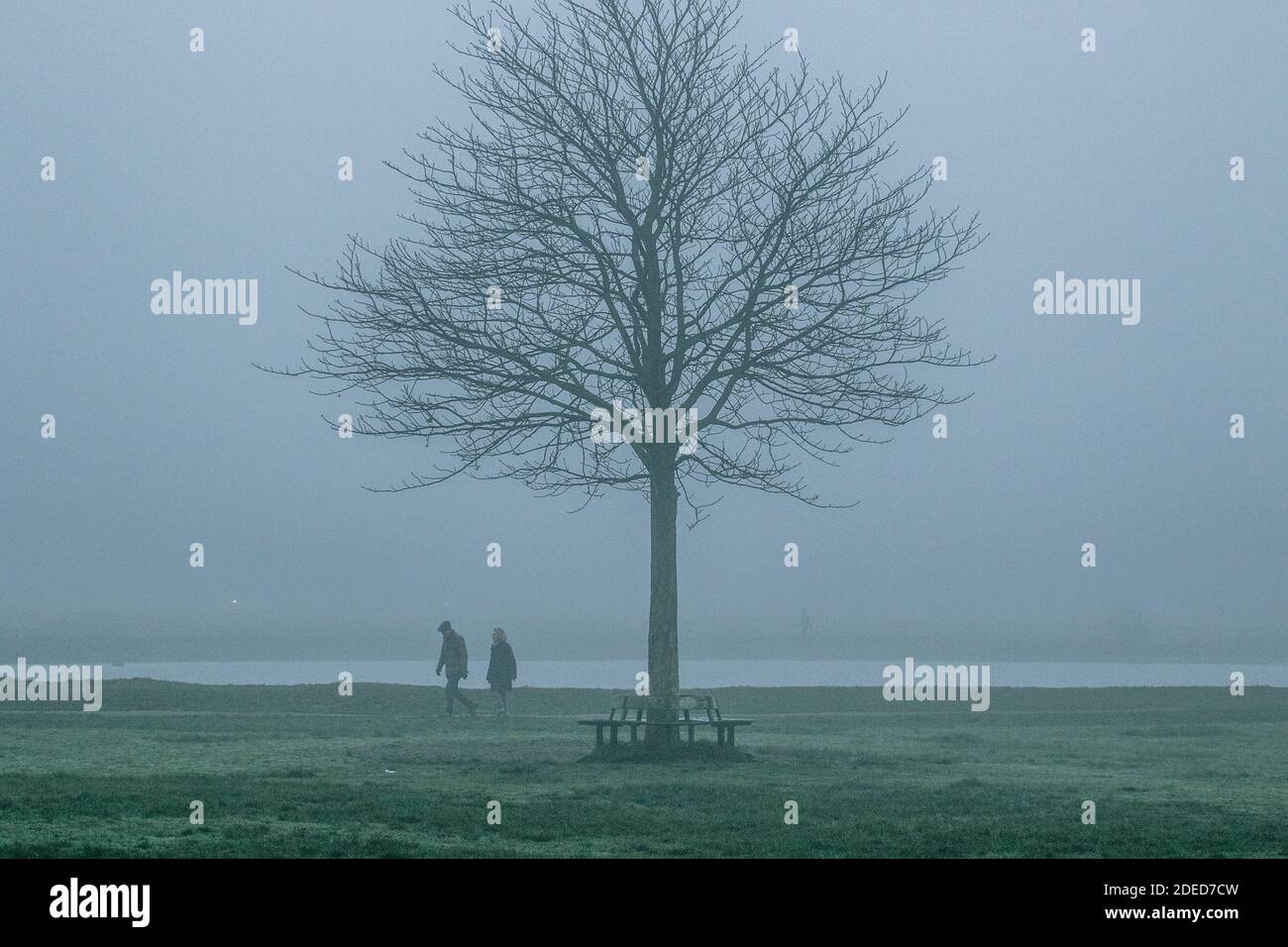 WIMBLEDON LONDRA 30 novembre 2020. Le persone che camminano attraverso la fitta nebbia gelida la mattina presto su Wimbledon comune come le temperature sono impostate per scendere nei prossimi giorni. Credit: amer Ghazzal/Alamy Live News Foto Stock