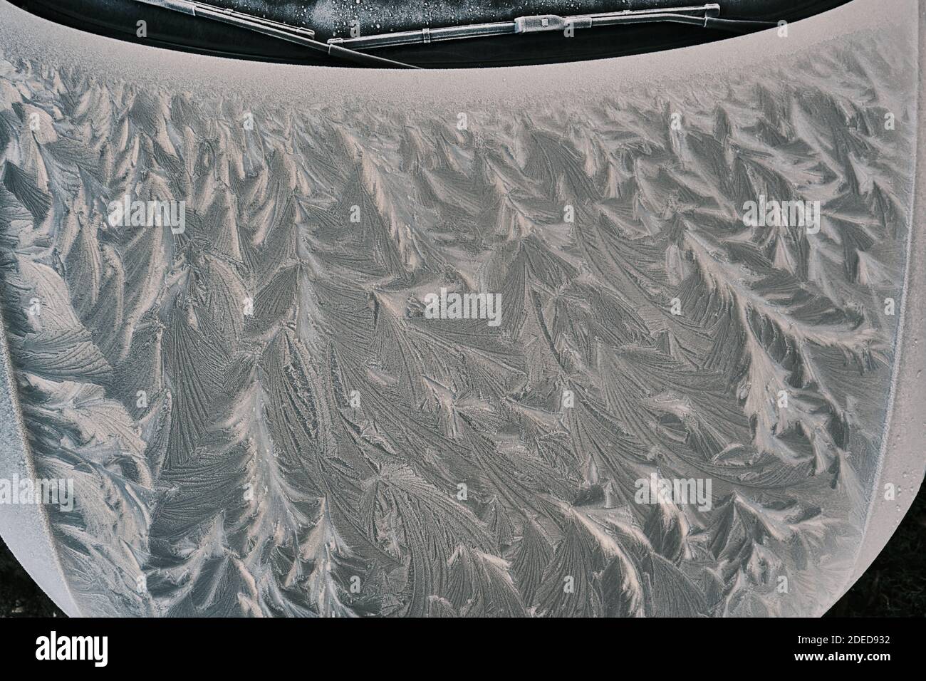 Primo piano della cappa dell'auto congelata durante la stagione invernale. Strato di gelo Foto Stock