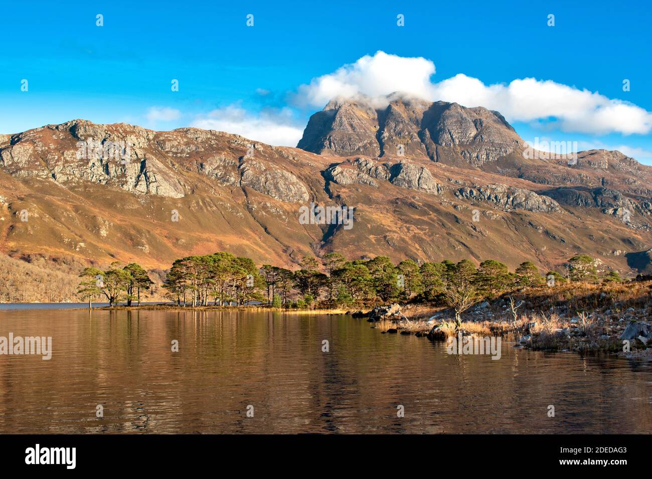 MONTI SLIOCH E LOCH MAREE HIGHLANDS SCOZZESI WESTER ROSS A. PINO MUNRO E SCOZZESI Pinus sylvestris Foto Stock