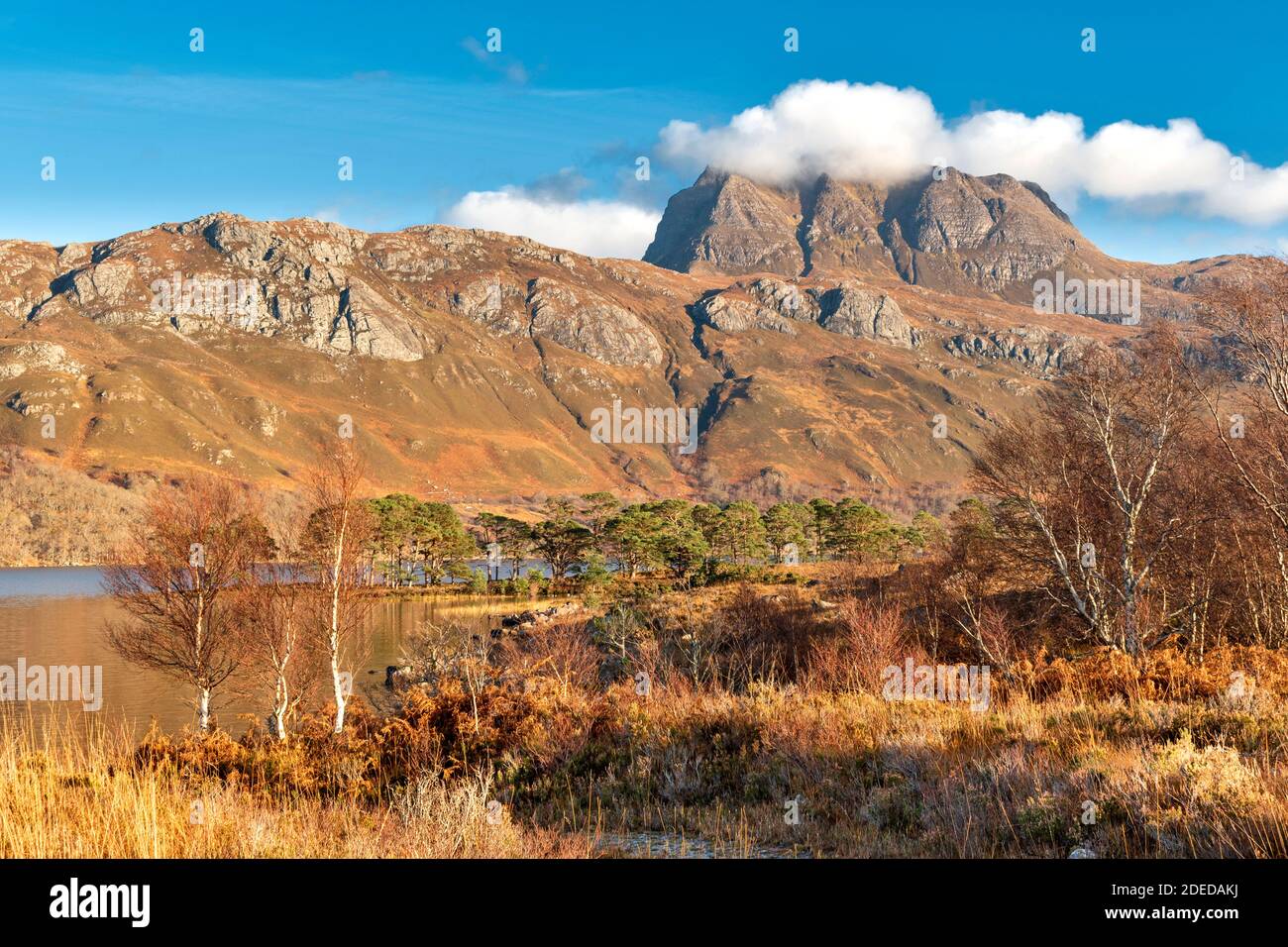 LES IOCH MOUNTAIN E LOCH MAREE SCOTTISH HIGHLANDS WESTER ROSS VICINO KINLOCHEWE UN MUNRO E ALBERI IN COLORI AUTUNNALI Foto Stock