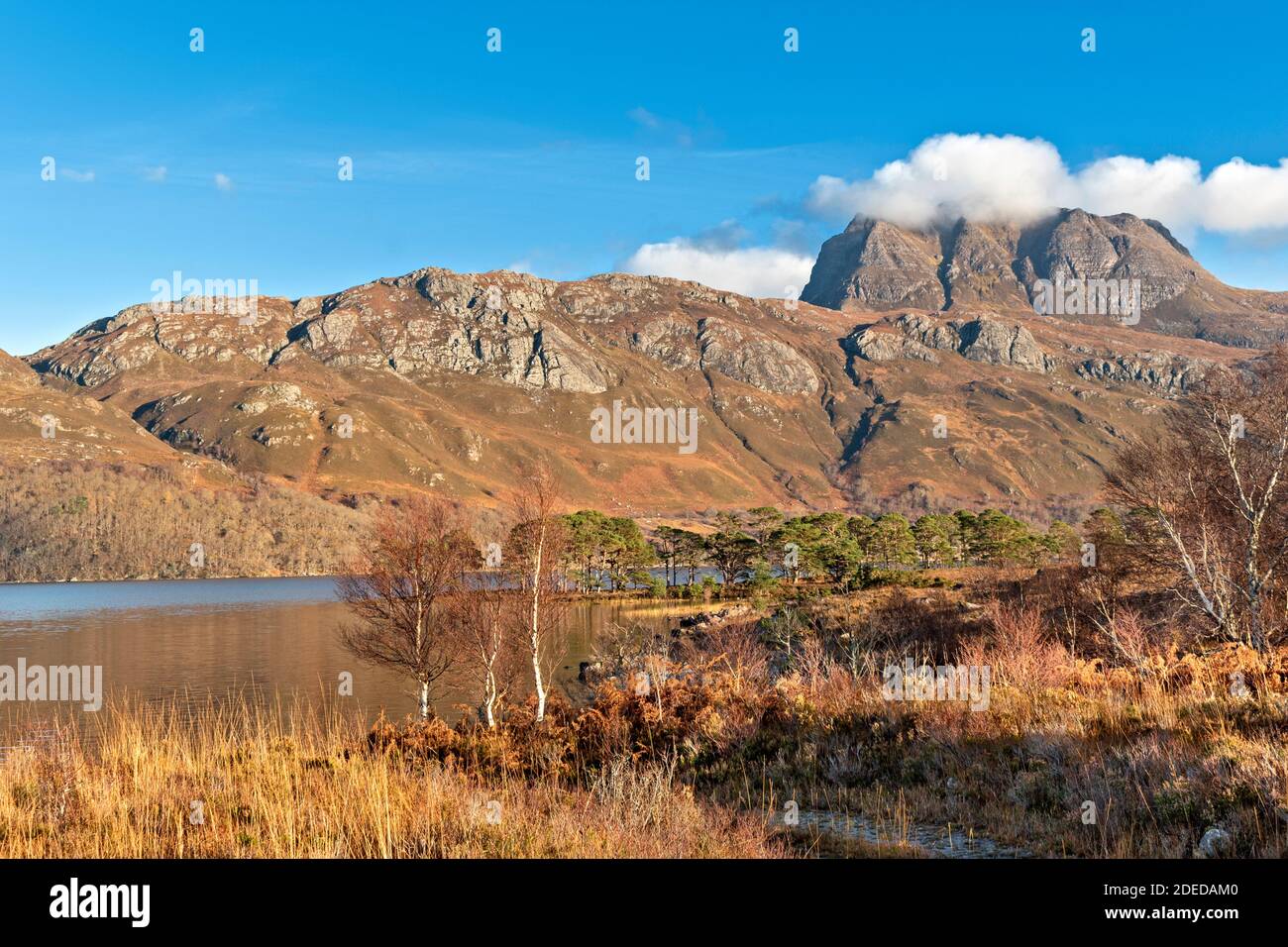 LES IOCH MOUNTAIN E LOCH MAREE SCOTTISH HIGHLANDS WESTER ROSS VICINO KINLOCHEWE UN MUNRO E ALBERI CON COLORI AUTUNNALI Foto Stock