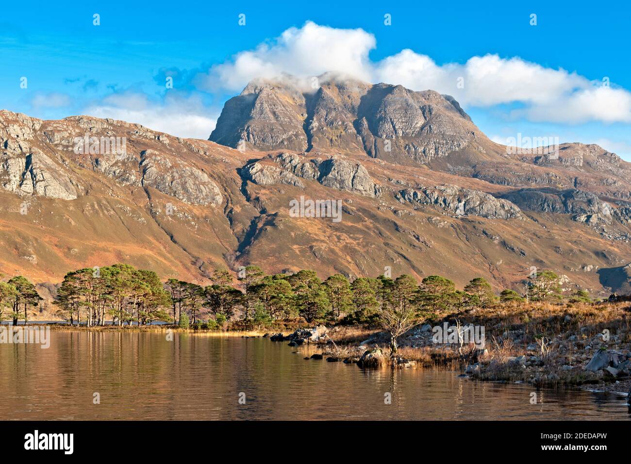 MONTI SLIOCH E LOCH MAREE HIGHLANDS SCOZZESI WESTER ROSS BIANCO NUVOLE SUI PINI MUNRO E SCOZZESI PINUS SYLVESTRIS SULLA RIVA Foto Stock