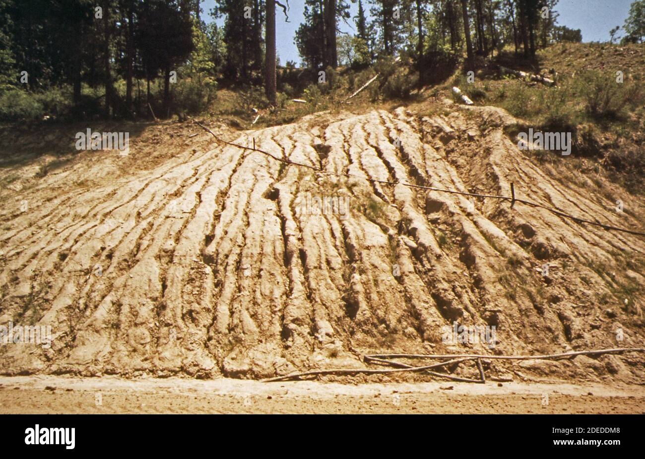 1970 Foto (1972) - UN tentativo riuscito e un tentativo fallito A stabilizzazione di erosione su una strada di montagna (California) Foto Stock