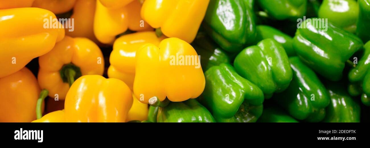 un mucchio di peperoni dolci verdi e gialli come sfondo. banner Foto Stock