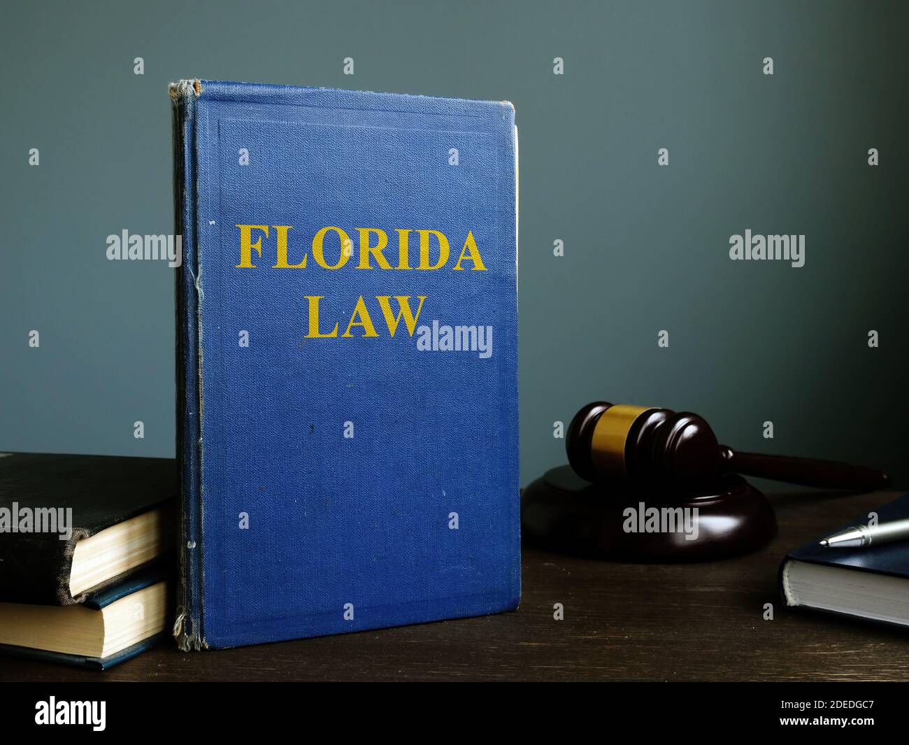 Legge di stato della Florida libro in tribunale. Foto Stock