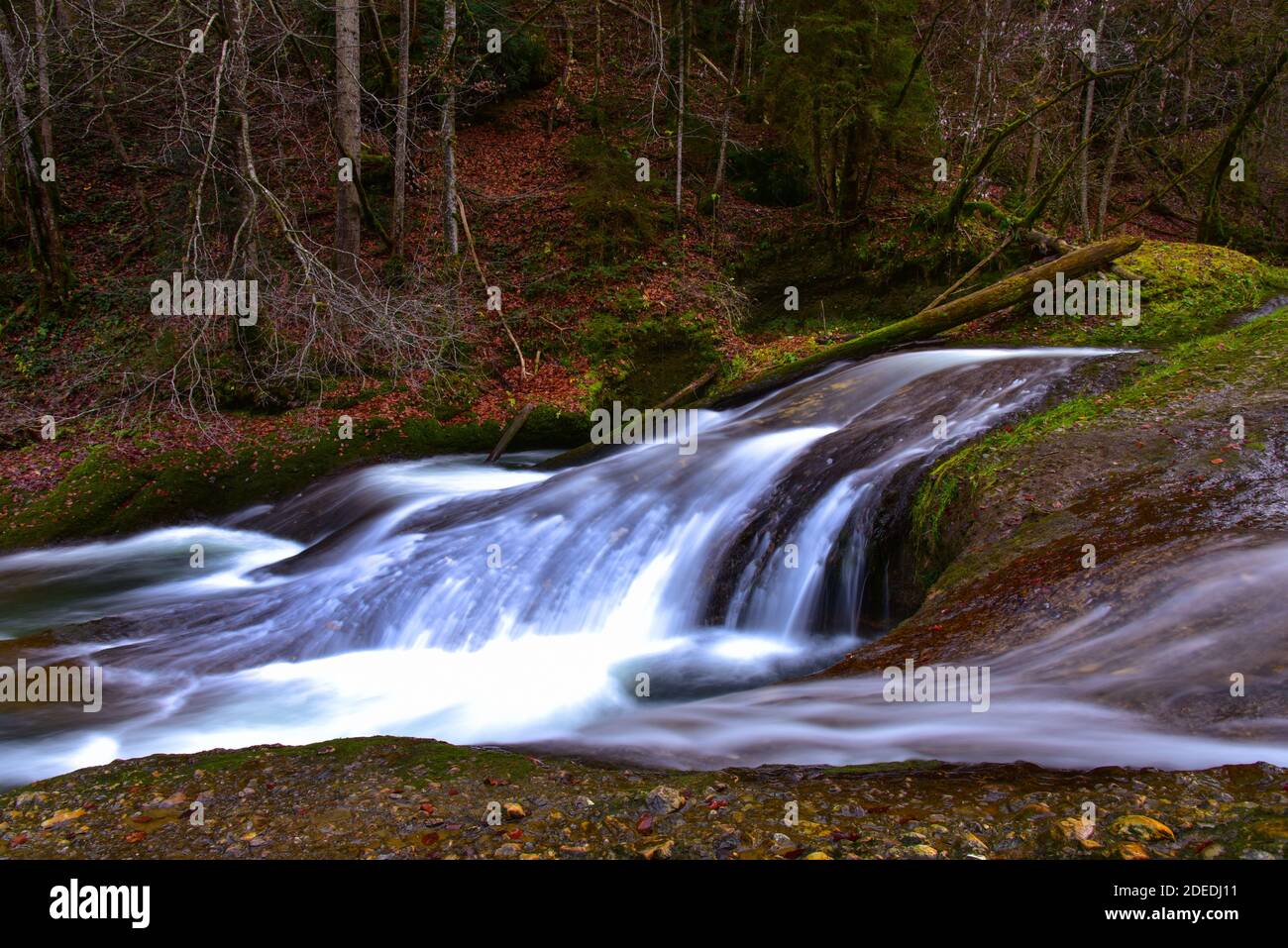 Umore autunnale nell'Eistobel nella Allgäu vicino a Isny, Swabia, Baviera, Germania, Europa Foto Stock