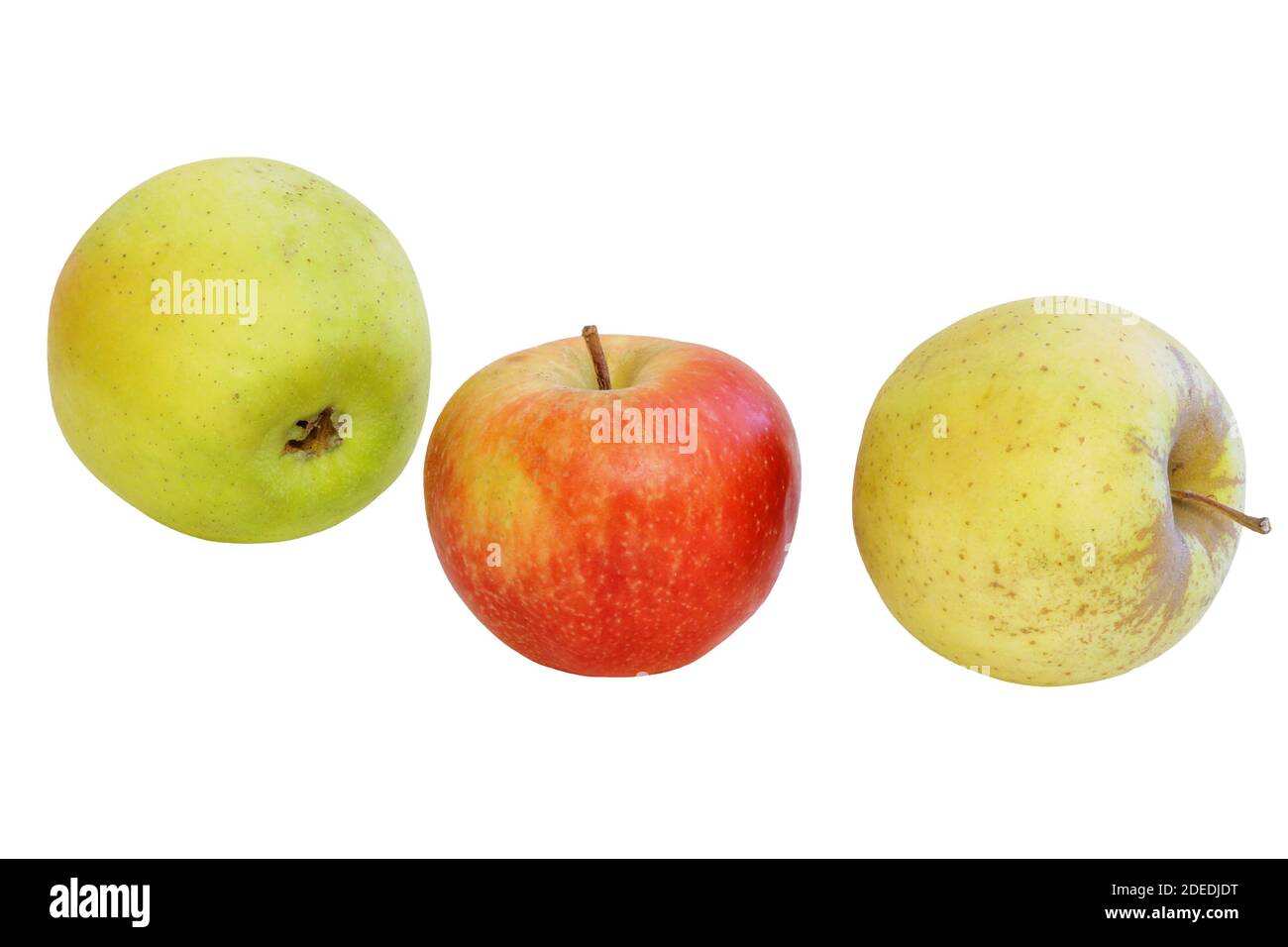 l'immagine di tre mele su uno sfondo bianco in il centro del rosso Foto Stock