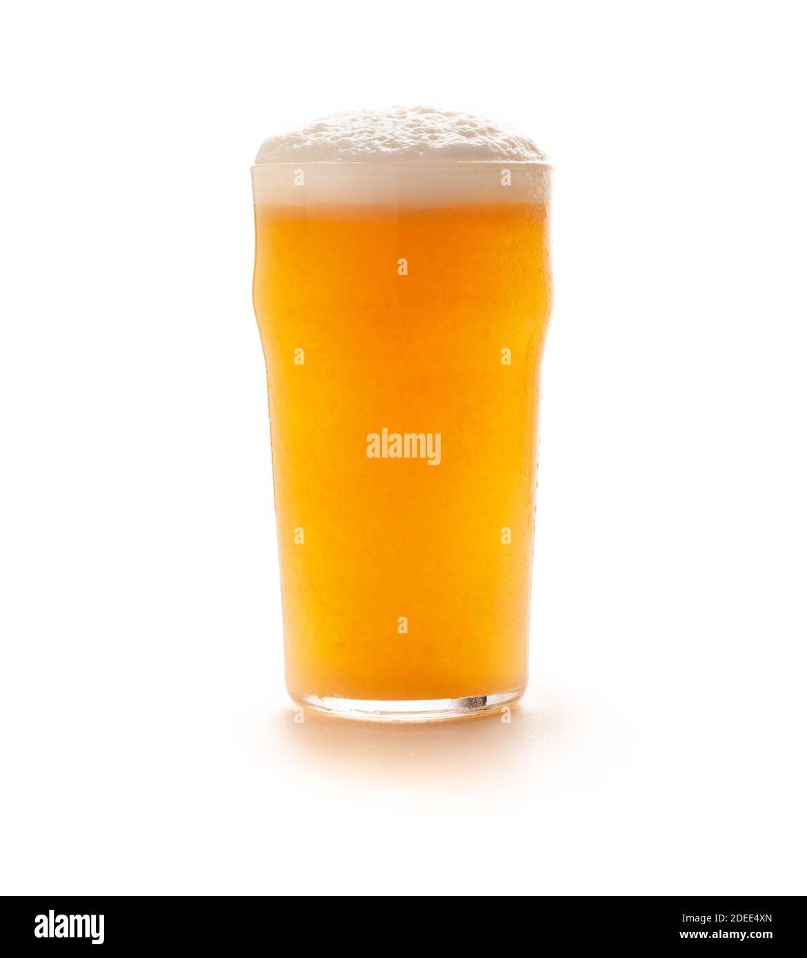Calice in vetro freddo pieno di birre artigianali leggere con schiuma e gocce fluenti Foto Stock