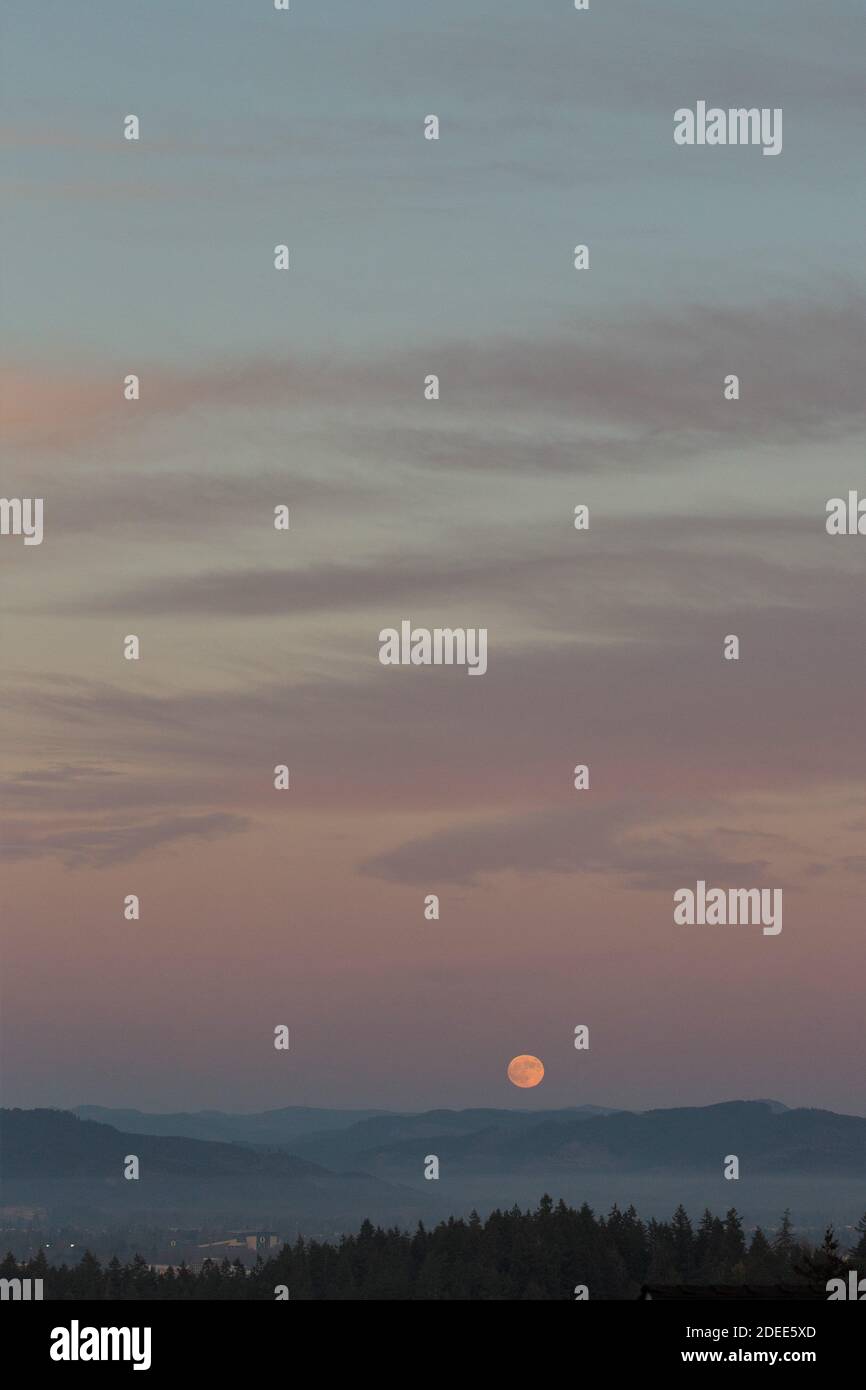 Una luna piena che sorge su Eugene, Oregon, USA. Foto Stock