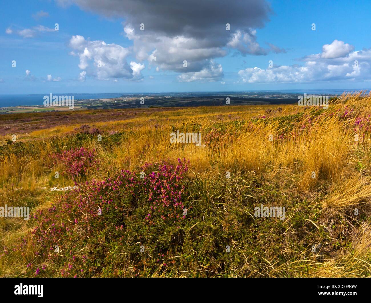 Vista dalla cima di Menez-Hom una vetta sul Bordi occidentali dei Montagnes Noires in Finisterre Bretagna Francia Foto Stock