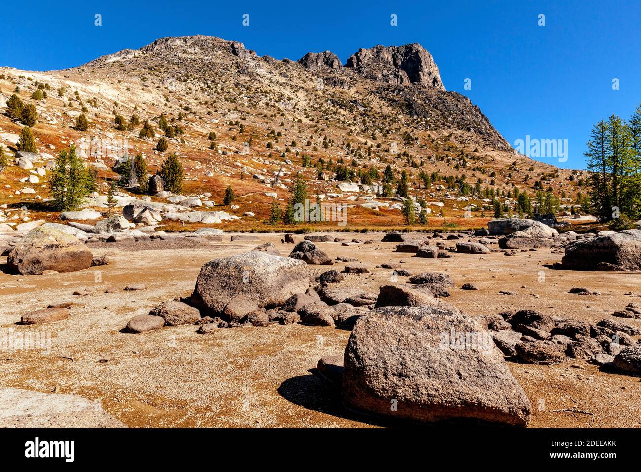 WA17692-00..... WASHINGTON - Dry Lake bed and Cathedral Peak vista dalla zona di Upper Cathedral Lake lungo il Boundary Trail n. 533 nel Pasayten Wildern Foto Stock