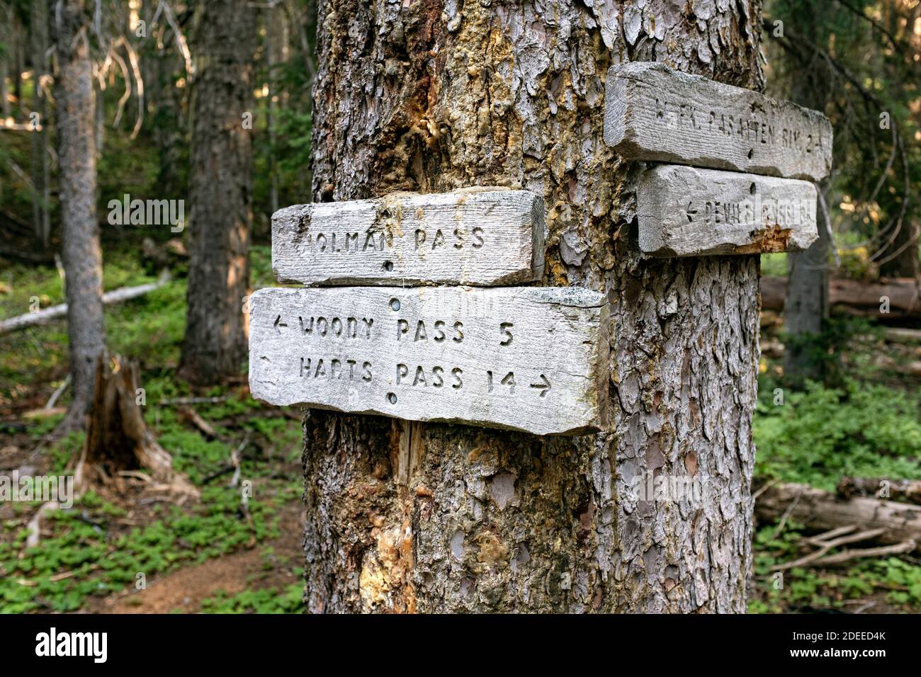 WA17735-00..... WASHINGTON - segnale del sentiero all'Holman Pass lungo il Pacific Crest Trail (PCT), Pasayten Wilderness, Okanogan Wenatchee National Forest. Foto Stock