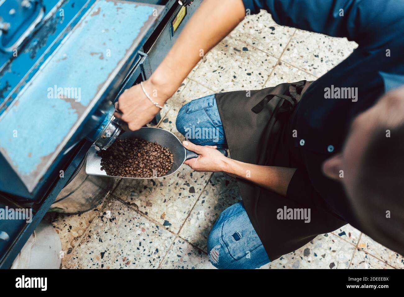Donna prendendo i chicchi di caffè fuori dello storage Foto Stock