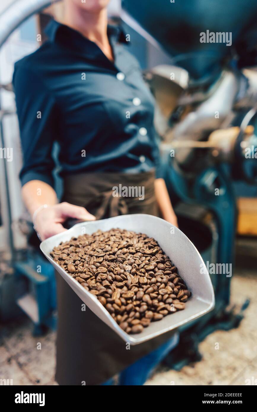 Barista donna con un campione di appena il caffè torrefatto in grani Foto Stock