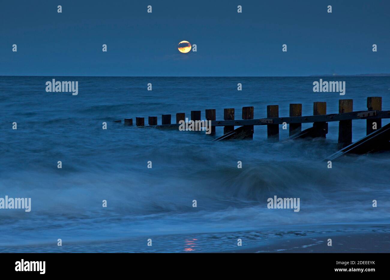 Portobello, Edimburgo, Scozia, Regno Unito. 30 novembre 2020. Al twilght, la luna piena ceretta gibbosa Beaver che sorge sopra East Lothian e il Firth of Forth. Credit: Arch White/Alamy Live News. Foto Stock