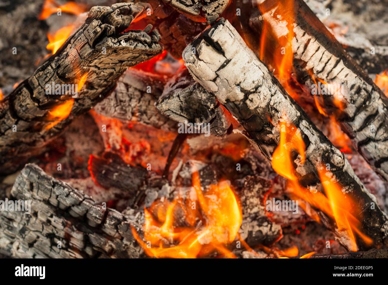 fuoco e cenere Foto Stock