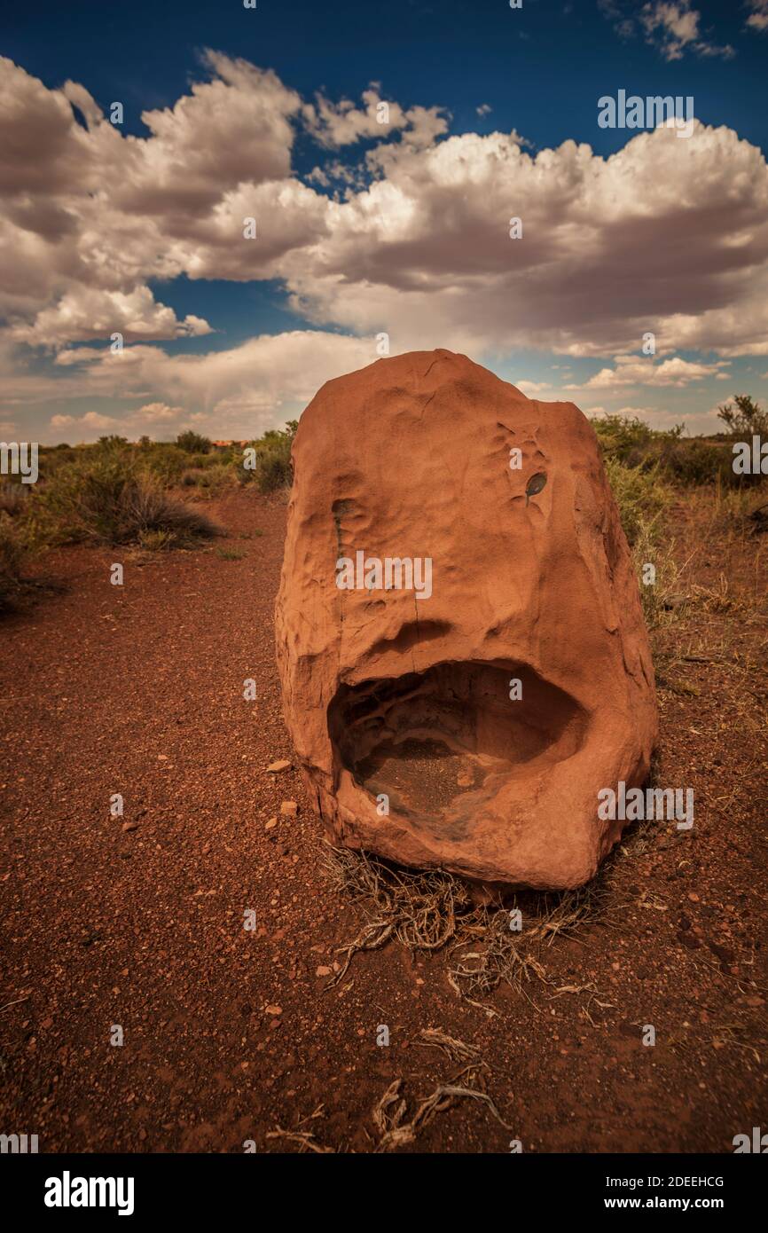 Divertente roccia nel deserto Foto Stock