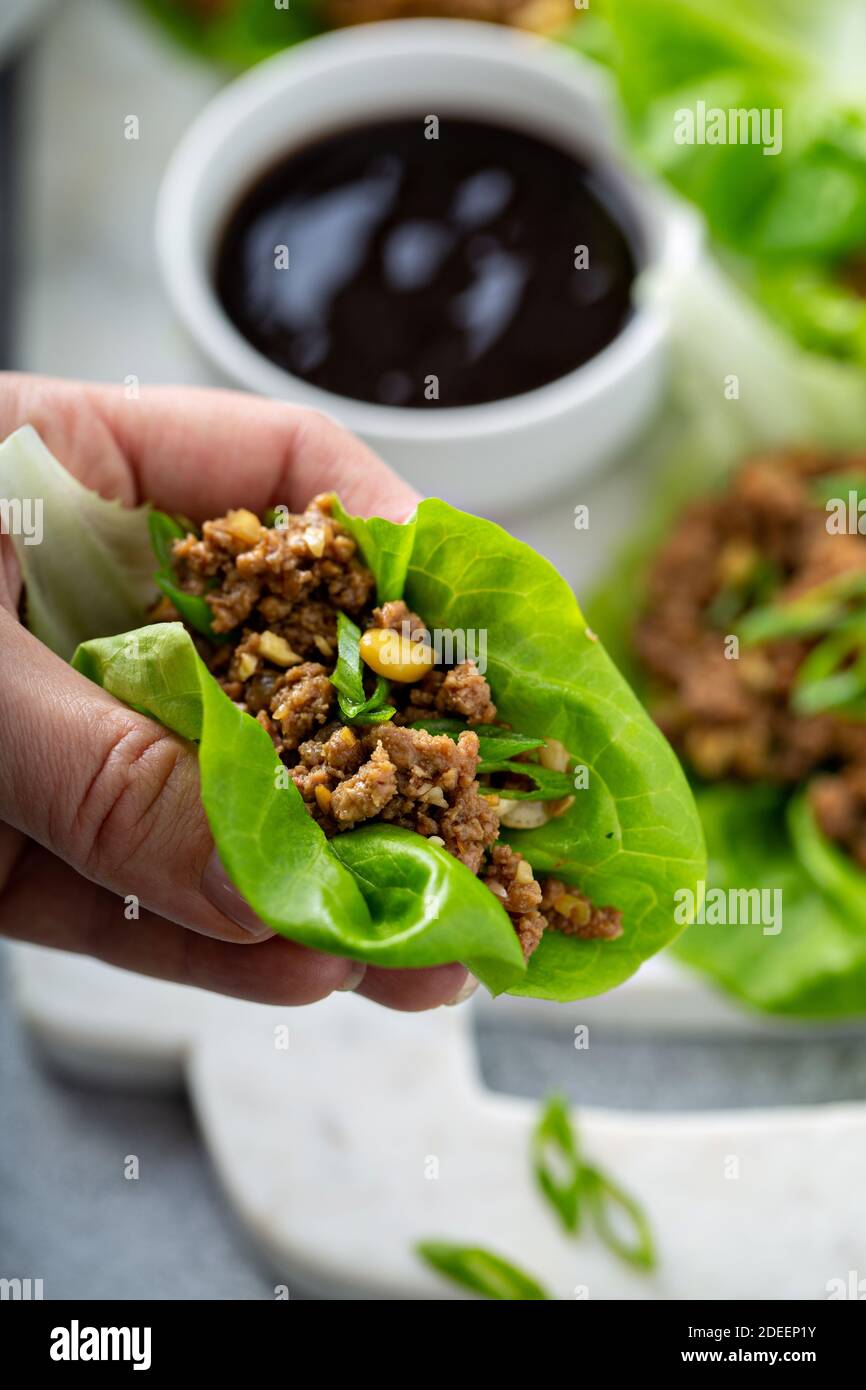 Involtini di lattuga asiatica di pollo o tacchino Foto Stock