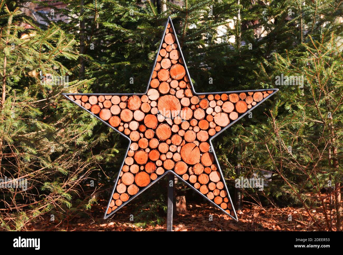 Stella da cerchi di legno sullo sfondo di alberi. Concetto di vacanza. Foto Stock