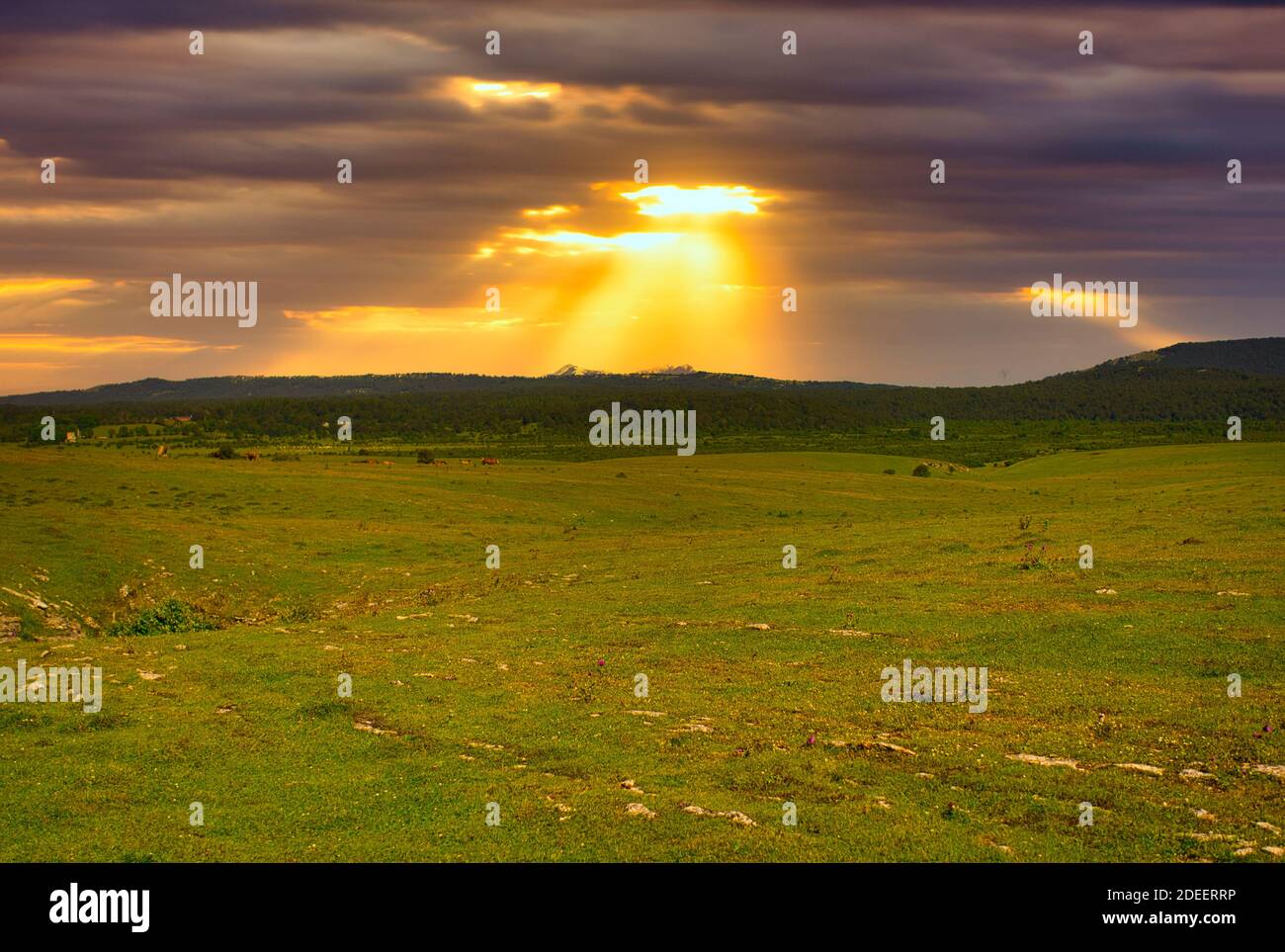 Il parco naturale di Urbasa e Andia a Navarra, Spagna Foto Stock