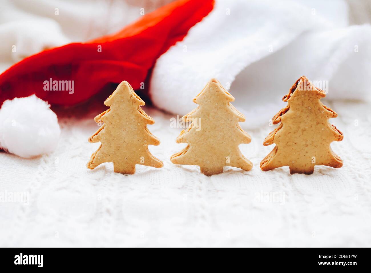 Sfondo di Natale con alberi di pan di zenzero in fila, cappello di Santa su un pullover bianco accogliente Foto Stock