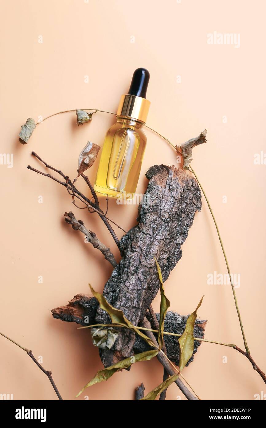 Prodotto cosmetico di cura della pelle su abbaio di albero. Concetto di cosmetica naturale. Sfondo color pesca chiaro e caldo Foto Stock