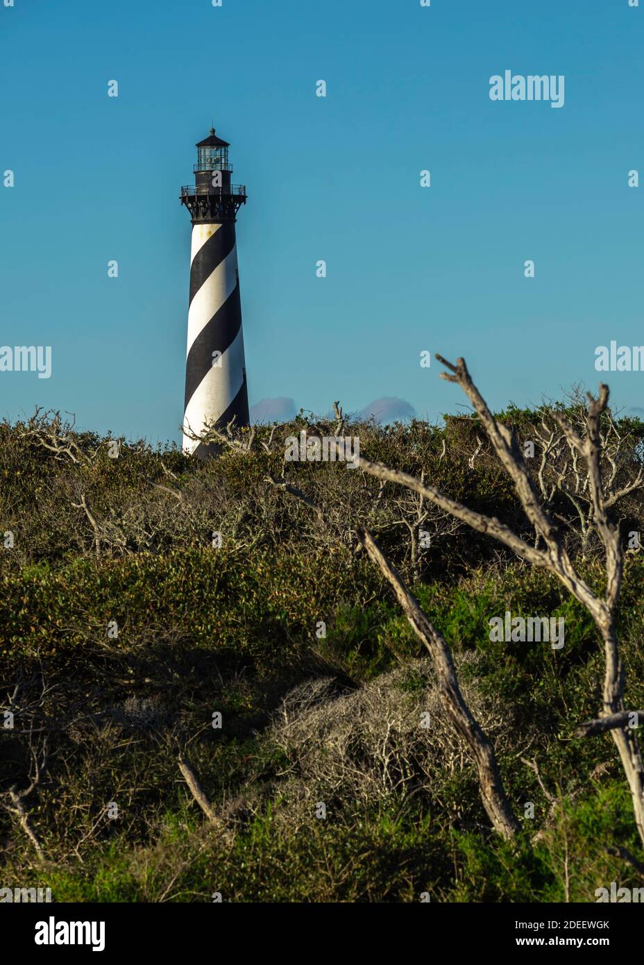 Il faro di Cape Hatteras si erge sopra gli alberi lungo la riva del mare Foto Stock