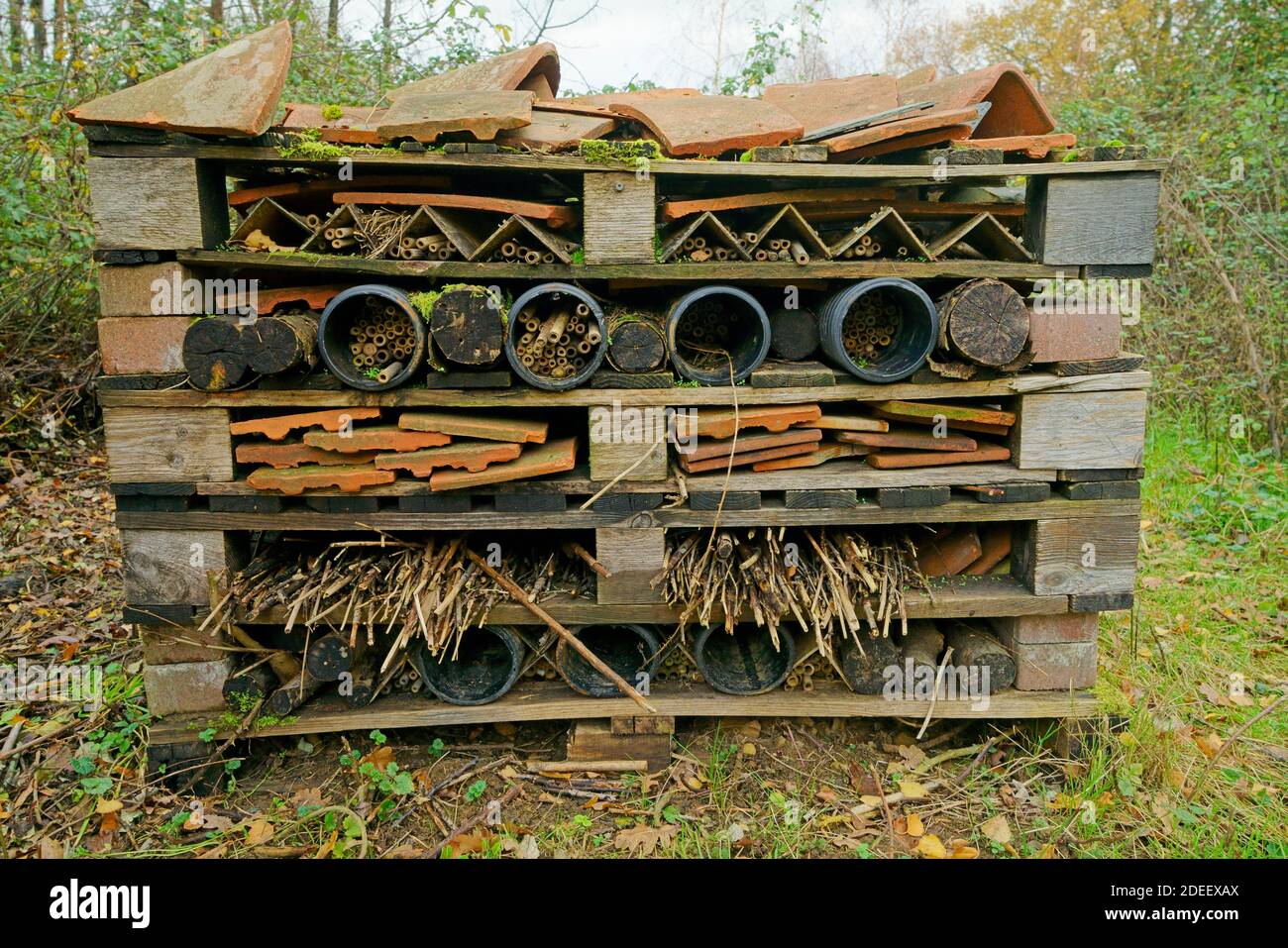 Un bug hotel per la conservazione della fauna selvatica. Foto Stock
