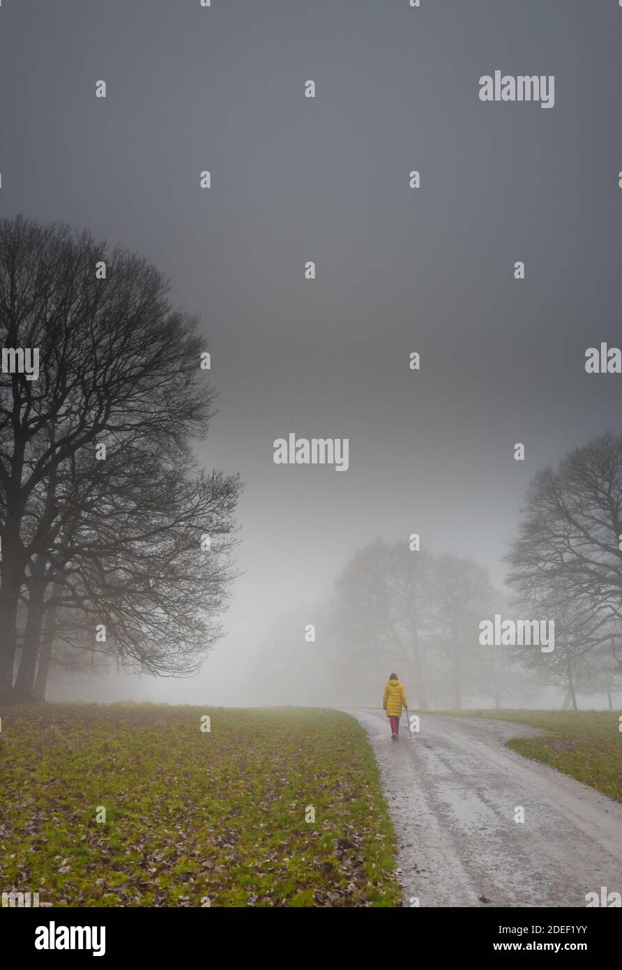 Persona che cammina lungo una piccola strada di campagna alberata in una tarda serata di nebbia. Foto Stock