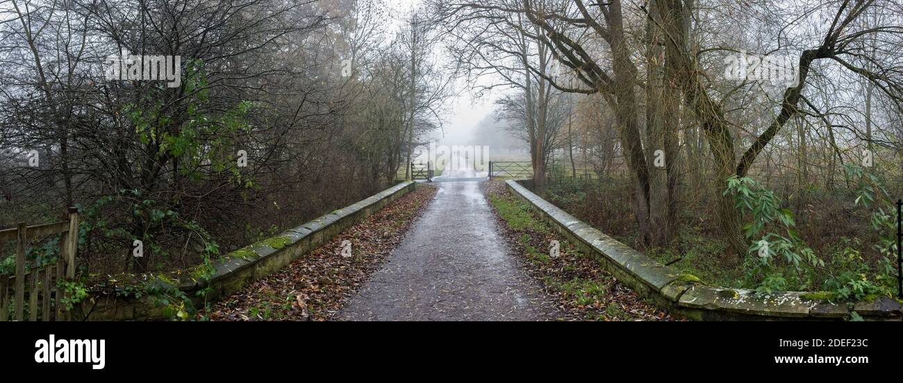 La gente cammina lungo una piccola strada di campagna alberata in una tarda serata di nebbia. Foto Stock
