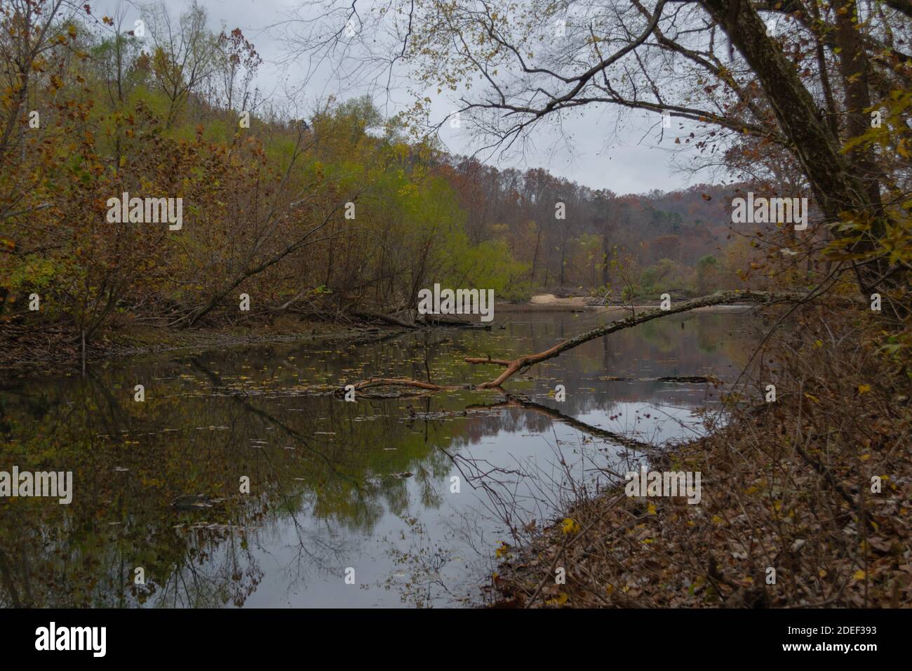 Current River nel Missouri all'inizio di novembre Foto Stock