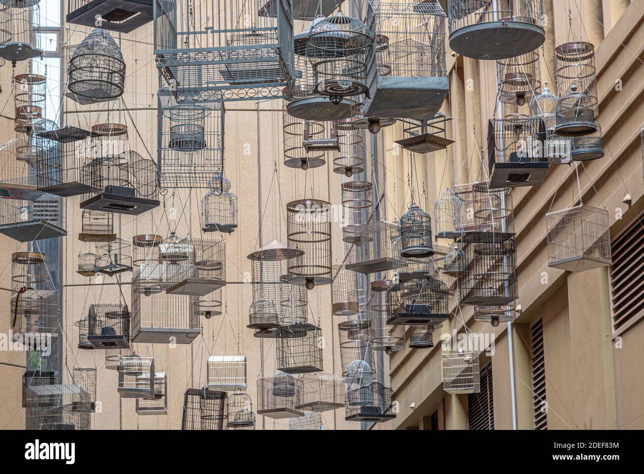 Installazione di canzoni dimenticate nel centro di Sydney, Australia Foto Stock