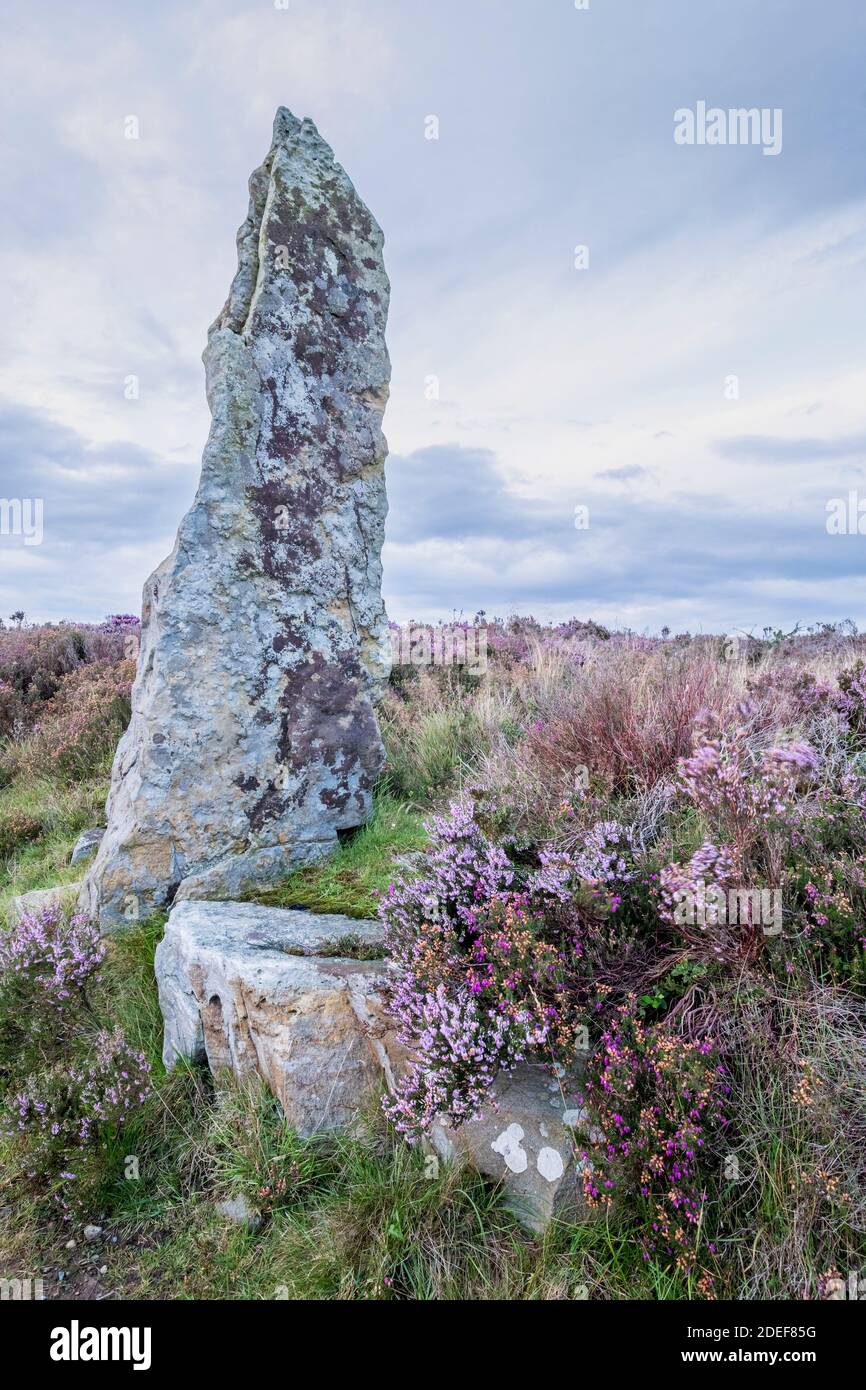 Una pietra in piedi sulla Wheeldale Road, North York Moors Foto Stock