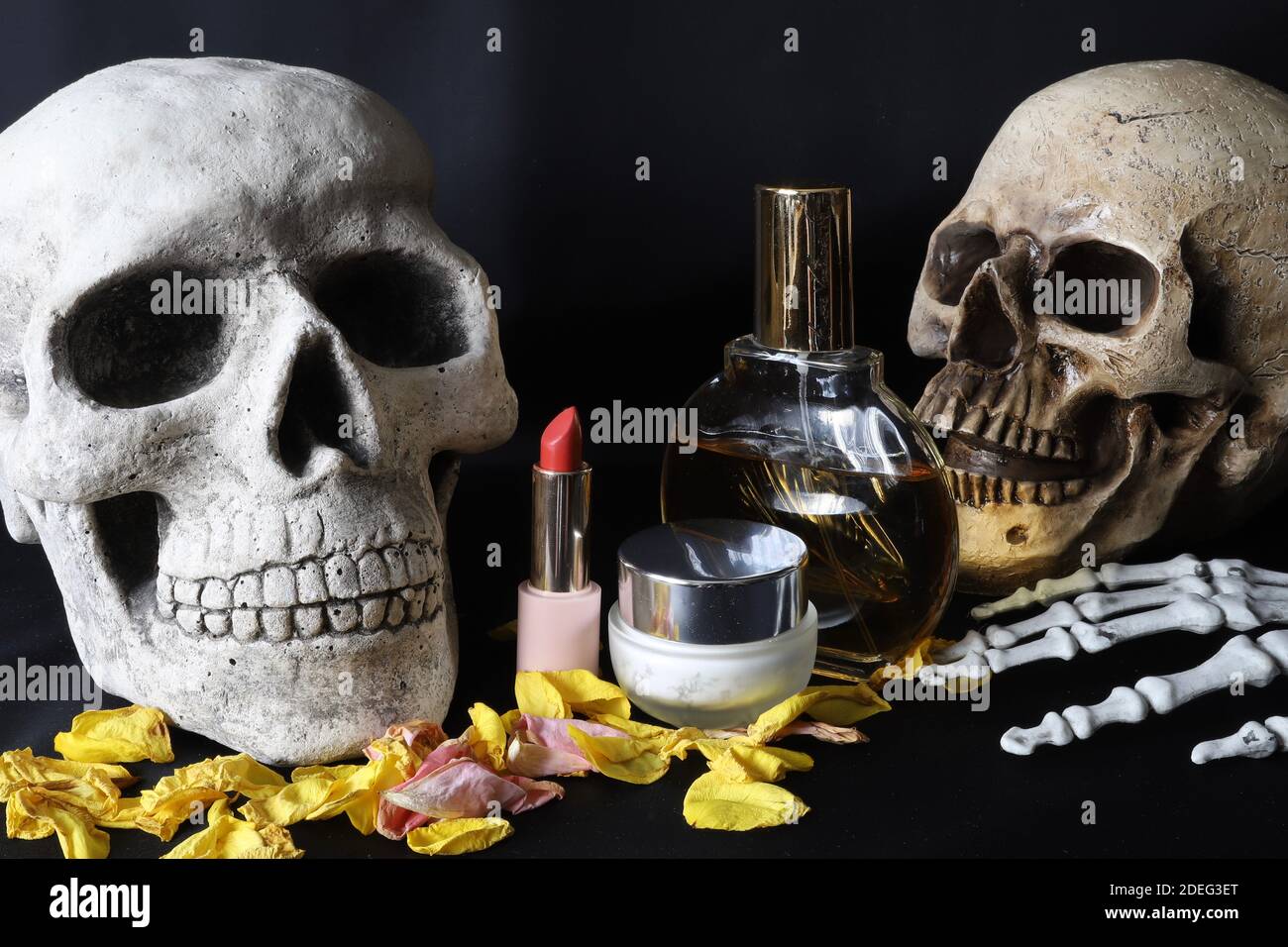 teschi e cosmetici Foto Stock