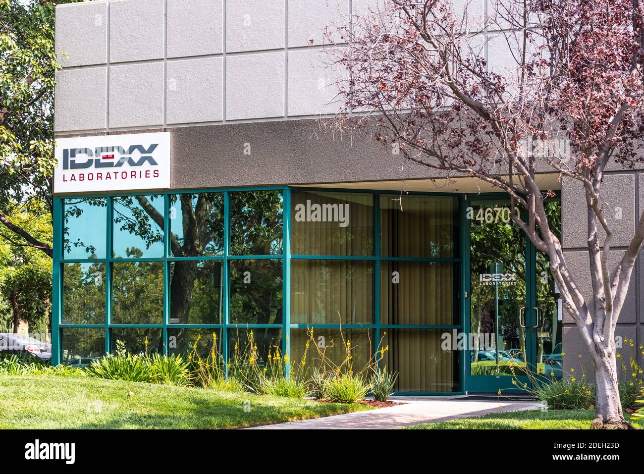 Set 17, 2020 Fremont / CA / USA - IDEXX Laboratories uffici in Silicon Valley; IDEXX Laboratories Inc è una multinazionale americana che f Foto Stock